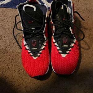 Lebron 17s